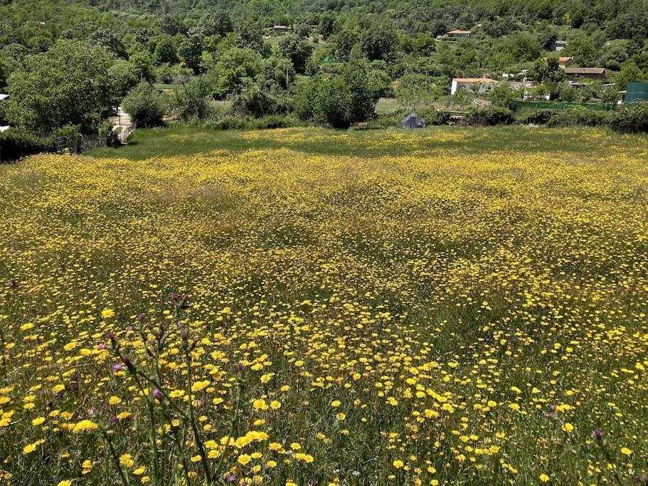 Atico Mirador Del Pielago El Real de San Vicente Eksteriør bilde